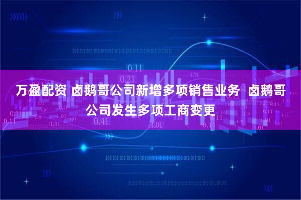 万盈配资 卤鹅哥公司新增多项销售业务  卤鹅哥公司发生多项工商变更