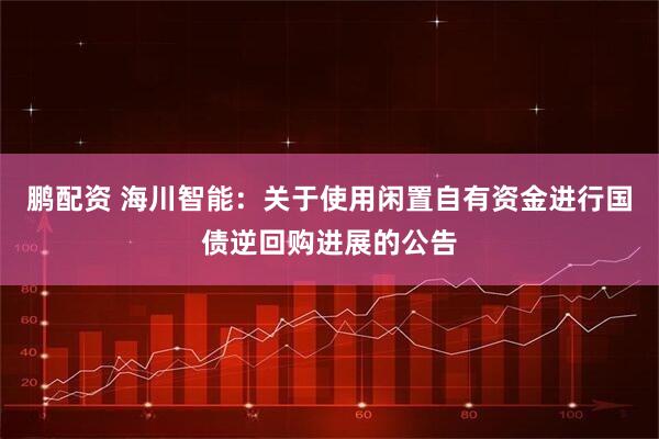 鹏配资 海川智能：关于使用闲置自有资金进行国债逆回购进展的公告