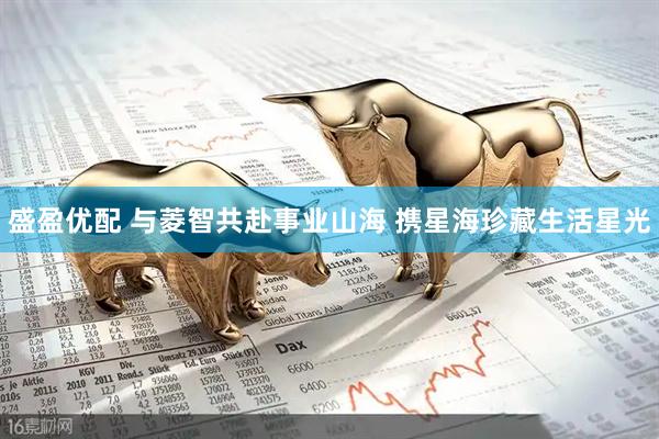 盛盈优配 与菱智共赴事业山海 携星海珍藏生活星光