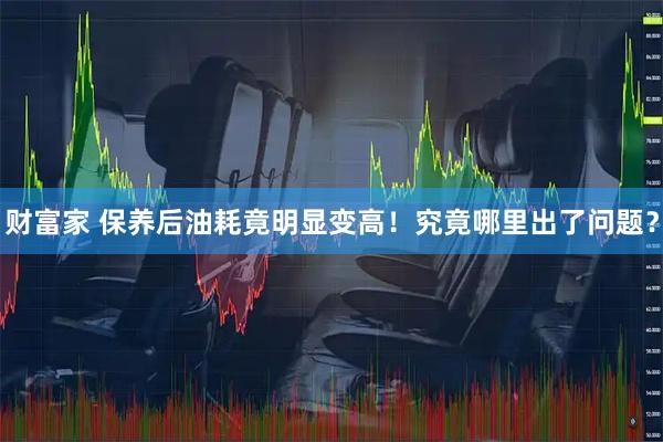 财富家 保养后油耗竟明显变高！究竟哪里出了问题？