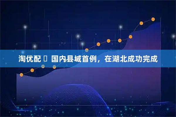 淘优配 ​国内县域首例，在湖北成功完成